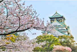 渡辺住研社